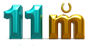 11 m